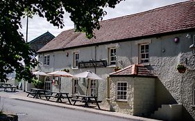 The Golden Lion, Newport, Pembrokeshire